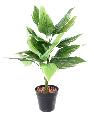 Plante artificielle Hosta en piquet -plante d'intérieur - H.60cm vert blanc