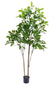 Plante artificielle Palissandre résistant UV - décoration d'extérieur - H.175cm vert