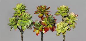 Plantes artificielles 3 succulentes en piquet - cactus d'intérieur - H.21cm