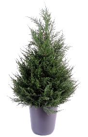 Plante artificielle Cypres artificiel (juniperus vert) - intérieur extérieur - H.65cm vert
