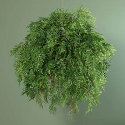 Composition artificielle boule de fougère à suspendre - Feuillage intérieur - H.95cm vert