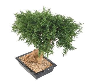 Bonsaï Juniperus artificiel en coupe - plante synthétique intérieur - H.60cm