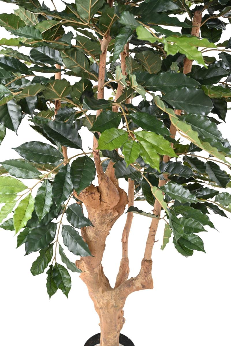 Arbre artificiel Caféier 5 branches - plante d'intérieur - H.180 cm vert
