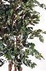 Arbre artificiel Ficus Exotica - plante d'intérieur - H.180cm vert