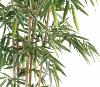 Bambou artificiel New 6 cannes naturelles - intérieur - H.150cm vert