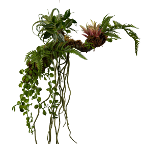 Branche artificielle Epiphyte à suspendre - suspension végétale - H.70cm