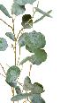 Feuillage artificiel Branche Eucalyptus - composition florale - H.118cm vert