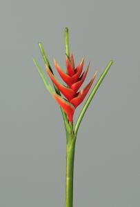 Fleur artificielle Héliconia bec de perroquet - fresh touch haute qualité - H.126cm rouge