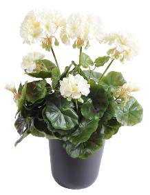 Géranium en piquet 5 têtes - Plante fleurie artificielle - H.40cm blanc