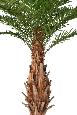 Palmier artificiel Canarie - arbre tropical pour intérieur - H.350cm