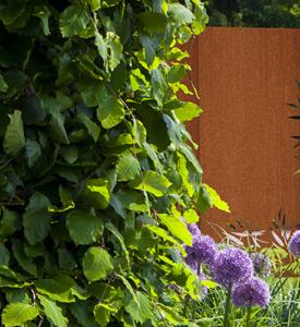 Panneau Acier Corten rouille - décoration jardin terrasse - H.180x110cm