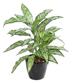 Plante artificielle Aglaonema en piquet -plante d'intérieur - H.80cm vert
