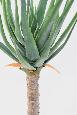Plante artificielle Aloe vera en pot - plante pour intérieur - H.125 cm vert