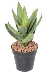 Plante artificielle Aloevera en piquet - cactus artificiel 12 feuilles - H.32cm vert