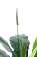 Plante artificielle Anthurium jungle king - décoration d'intérieur - H.130cm vert