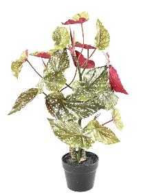 Plante artificielle Begonia maculata - décoration d'intérieur - H.70cm vert rouge