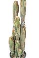Plante artificielle Cactus Finger 6 troncs - Plante pour intérieur - H.95cm vert