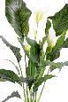 Plante artificielle fleurie Spathiphyllum 5 fleurs - intérieur extérieur - H.80cm