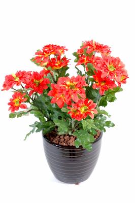 Plante fleurie artificielle Chrysanthème mini en piquet - décoration intérieure - 25cm rouge