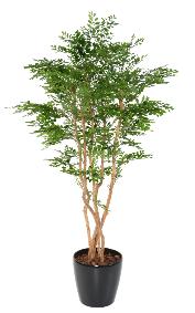 Arbre artificiel Acacia 5 troncs - plante d'intérieur - H.180cm vert