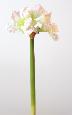 Amaryllis artificielle 3 fleurs - composition florale - H.70cm blanc