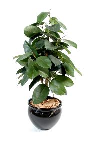 Arbre artificiel Ficus elastica - plante synthétique - H.110cm