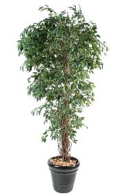 Arbre artificiel Ficus lianes petites feuilles - plante d'intrieur - H.180cm vert