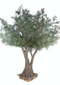 Arbre artificiel Olivier New Tree - plante pour intérieur - H.430cm