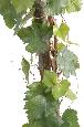 Arbre artificiel fruitier Vigne Round - plante pour intérieur - H.200cm