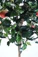 Arbre fruitier artificiel Pommier - plante pour intérieur - H.180cm