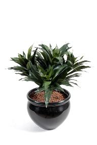 Feuillage artificiel Dracaena Fragans - plante en piquet - H.53cm vert