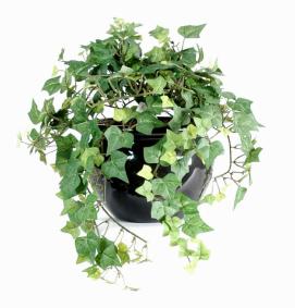 Feuillage artificiel chute de Lierre en piquet - 308 feuilles artificielles - H. 35cm vert
