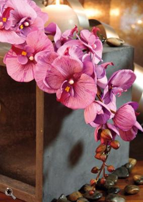 Fleur artificielle Orchidée phalaenopsis - fleur à tige - H.103 cm fuchsia