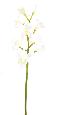 Fleur coupée Orchidée Cymbidium - création bouquet artificiel - H.100cm blanc