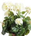 Géranium en piquet 5 têtes - Plante fleurie artificielle - H.40cm blanc