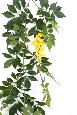 Guirlande artificielle Glycine - feuillage pour intérieur - H.180cm jaune