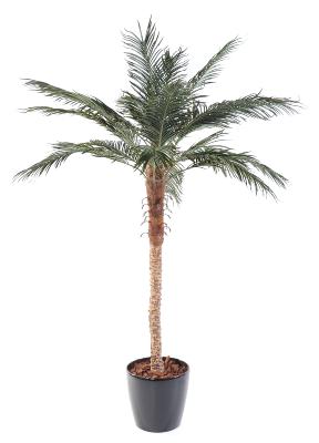 Palmier artificiel Phoenix Palm - plante intérieur - H.210cm vert