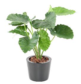 Plante artificielle Alocasia Calidora - plante verte d'intérieur - H.65cm