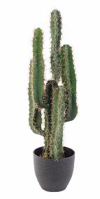 Plante artificielle Cactus Finger - Plante synthétique intérieur - H. 75cm vert
