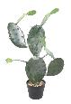 Plante artificielle Cactus Opuntia - Plante pour intérieur - H. 75cm vert