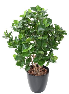 Plante artificielle Clusia buisson - décoration d'intérieur - H.95cm vert