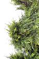 Plante artificielle Cypres spirale - intérieur extérieur - H.130cm vert