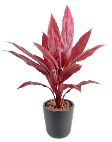Plante artificielle Dracaena Cordyline en piquet - intérieur - H.60cm rouge