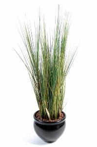 Plante artificielle Herbe luxe Onion Grass en pot - intérieur - H. 95cm vert jaune