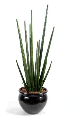 Plante artificielle Sansevieria cylindrica - décoration d'intérieur - H.90 cm