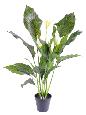 Plante artificielle fleurie Spathiphyllum 5 fleurs - intérieur extérieur - H.80cm