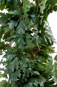 Plante verte artificielle Cissus (Vigne d'appartement) - décoration d'intérieur - H.100cm