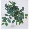 Feuillage artificiel piquet Fittonia mini intérieur 29cm vert