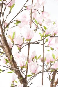 Arbre artificiel fleuri Magnolia Tulipier du Japon - plante d'intérieur - H.230cm blanc