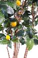 Arbre fruitier artificiel Citronnier et fruits - plante intérieur - H.180cm